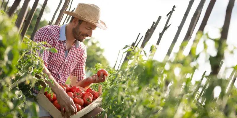 Seasonal Agricultural Workers Recruitment Solutions